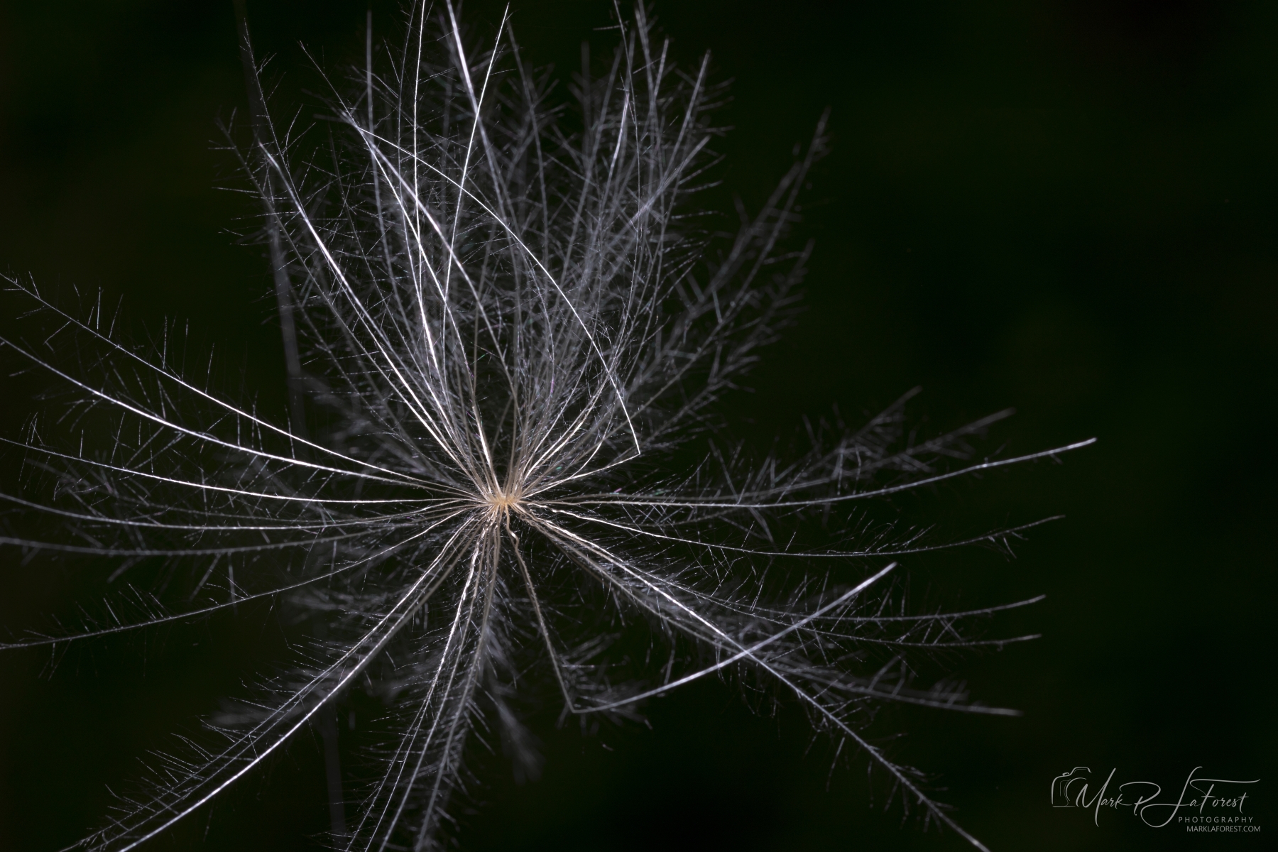 Floaty Thing, McKinney Falls State Park, Austin, Texas